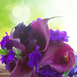Spring Weddings: Calla Lilies