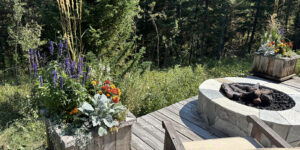 Jackson Hole Gardening Services