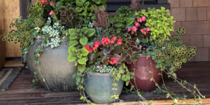 Jackson Hole Gardening Services