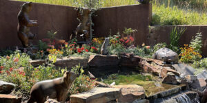 Jackson Hole Gardening Services
