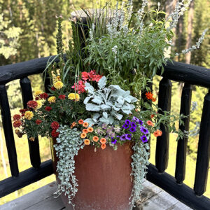 Jackson Hole Gardening & Containers