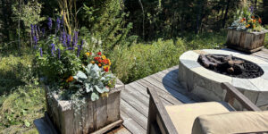 Jackson Hole Gardening Services