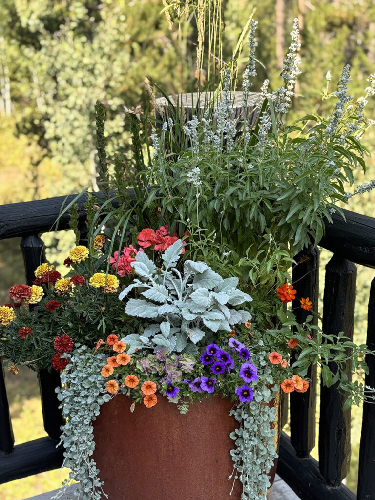 Container gardens
